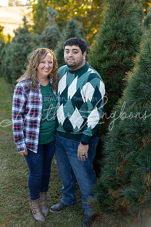 Tree Farm Gifford-39