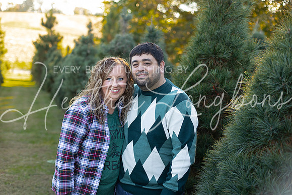 Tree Farm Gifford-40