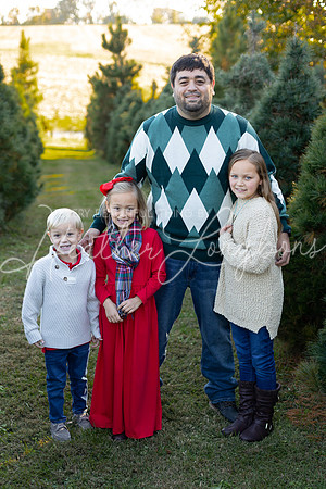 Tree Farm Gifford-41
