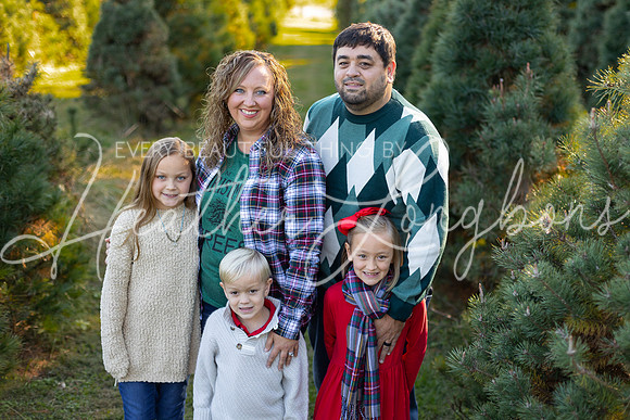 Tree Farm Gifford-2