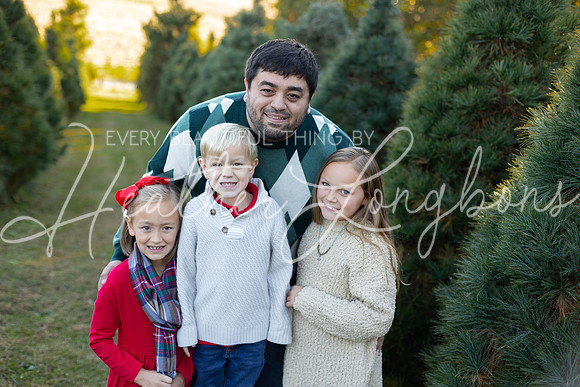 Tree Farm Gifford-43