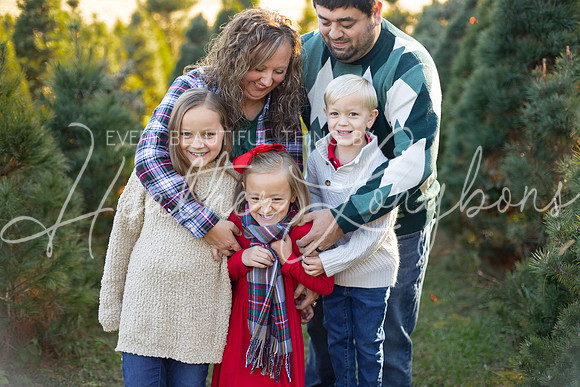 Tree Farm Gifford-5