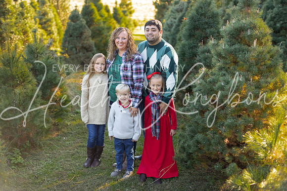 Tree Farm Gifford-1
