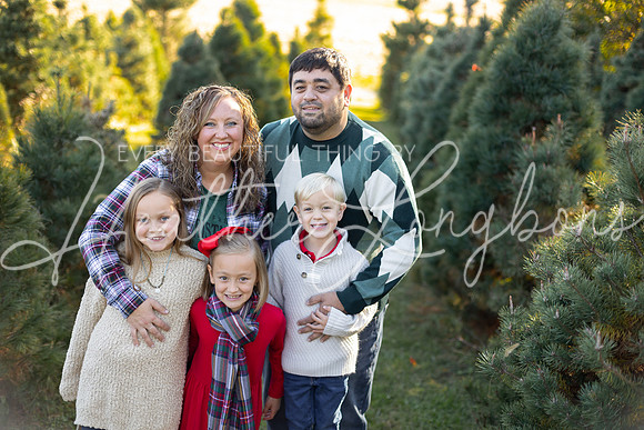 Tree Farm Gifford-4