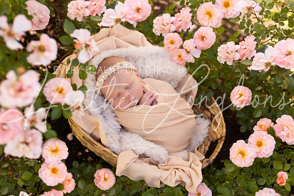 Johanna newborn-10