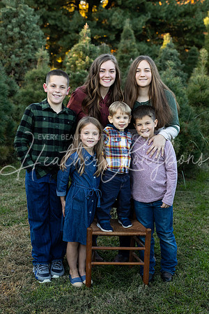 Tree Farm Fearn-7