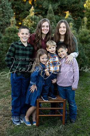 Tree Farm Fearn-6
