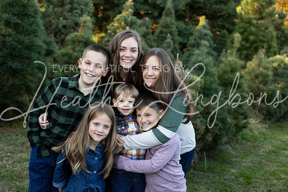 Tree Farm Fearn-9