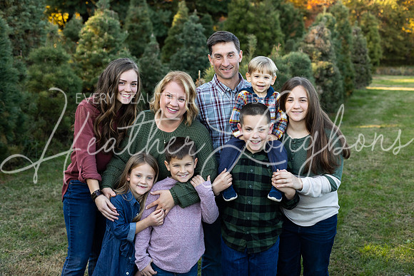 Tree Farm Fearn-3