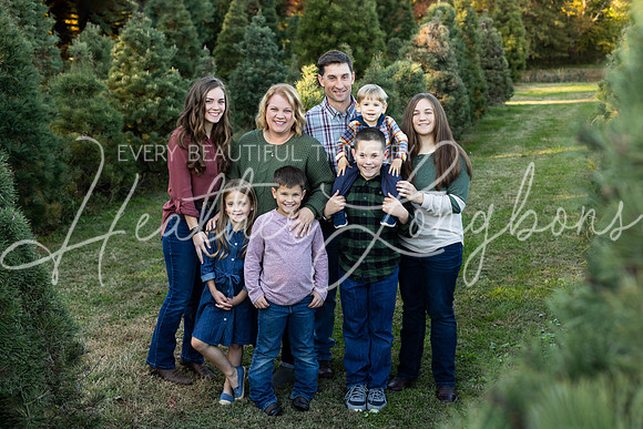 Tree Farm Fearn-2
