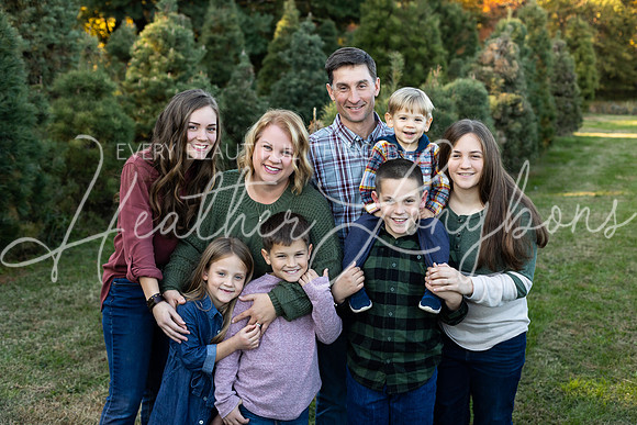Tree Farm Fearn-4