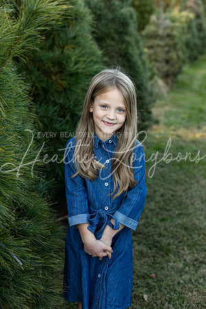 Tree Farm Fearn-19