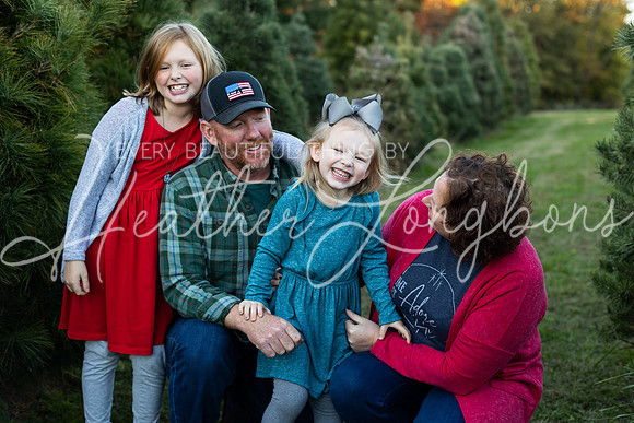 Tree Farm Arnold-4
