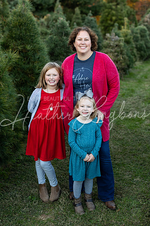 Tree Farm Arnold-5