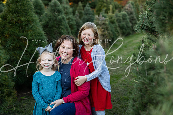 Tree Farm Arnold-6