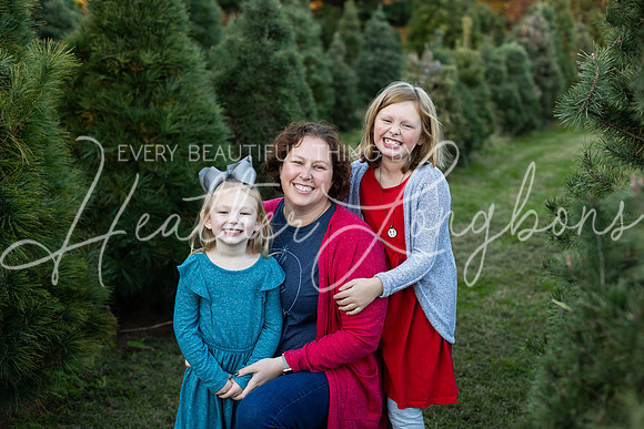 Tree Farm Arnold-7