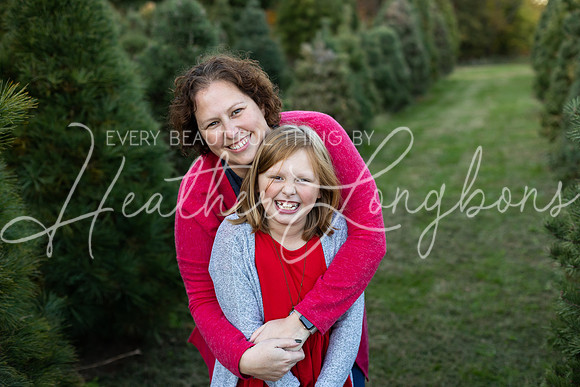 Tree Farm Arnold-13