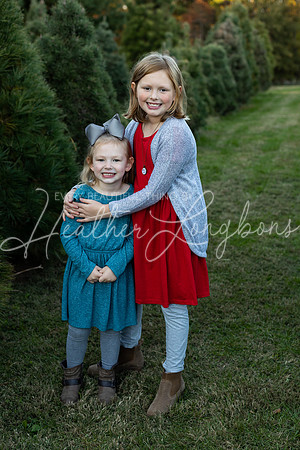 Tree Farm Arnold-15