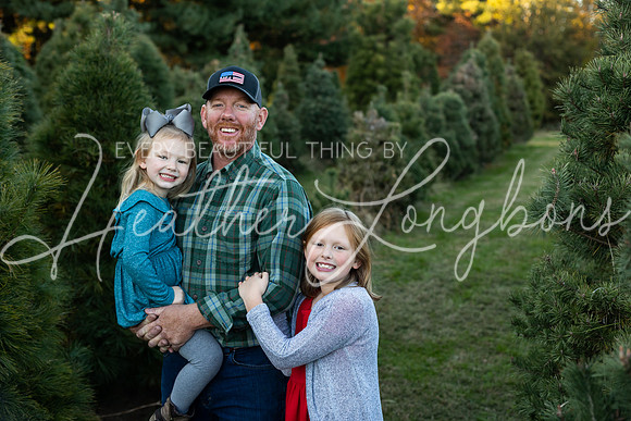 Tree Farm Arnold-14