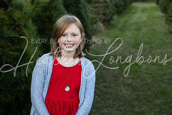 Tree Farm Arnold-21