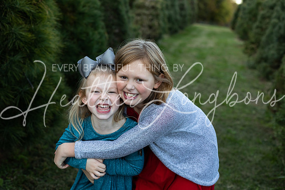Tree Farm Arnold-18