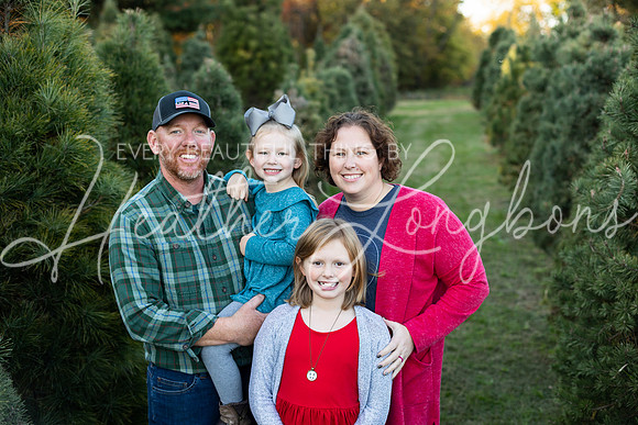 Tree Farm Arnold-1