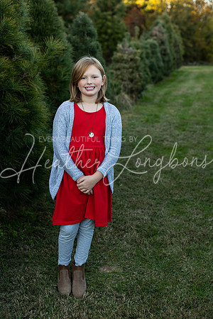 Tree Farm Arnold-19