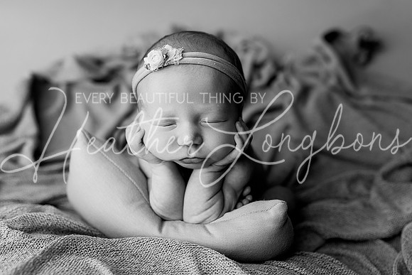 Collins Ward Newborn-1BW
