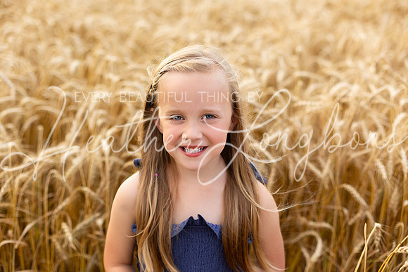 Wheat Field Bonds-28