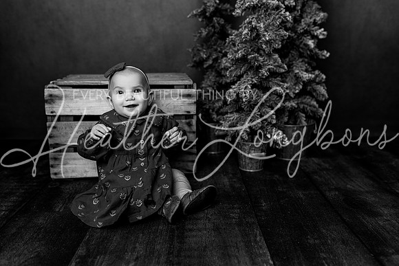 Van Matre milestones-10BW