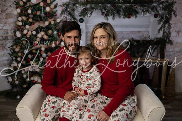 11 Christmas Minis Regan-2