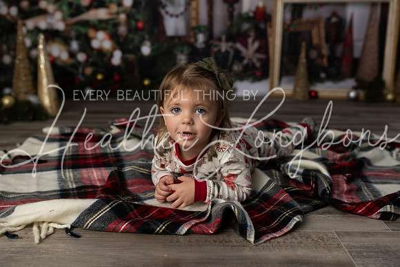 11 Christmas Minis Regan-8