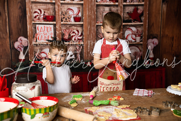 11 Sugar Cookies Clodfelter-31