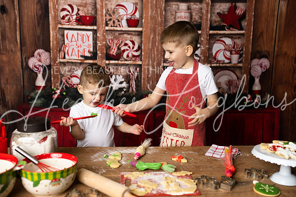 11 Sugar Cookies Clodfelter-40