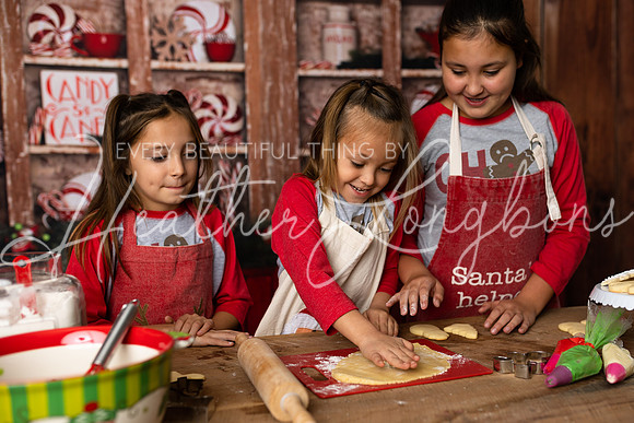 11 Sugar Cookies Wests-10