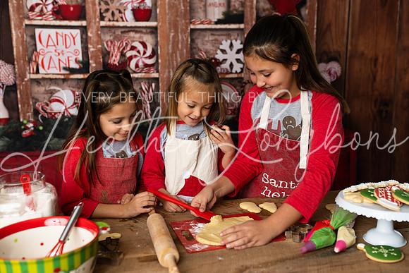 11 Sugar Cookies Wests-14