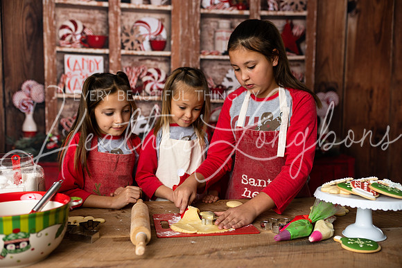 11 Sugar Cookies Wests-15