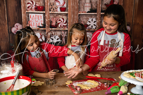 11 Sugar Cookies Wests-19