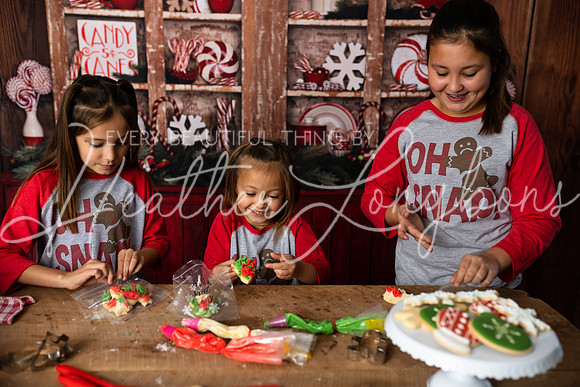 11 Sugar Cookies Wests-39