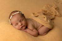 Adeline Newborn-4