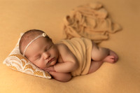 Adeline Newborn-5