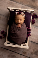 Adeline Newborn-8
