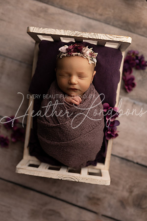 Adeline Newborn-8