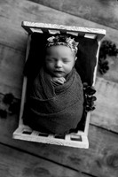 Adeline Newborn-8BW