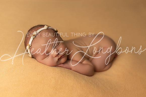 Adeline Newborn-14