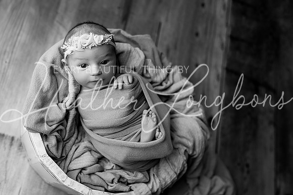 Adeline Newborn-16BW