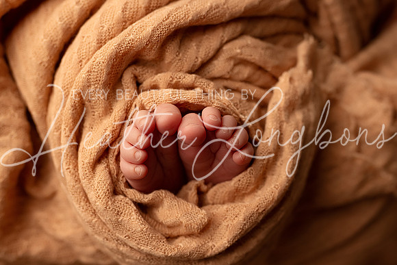 Adeline Newborn-17
