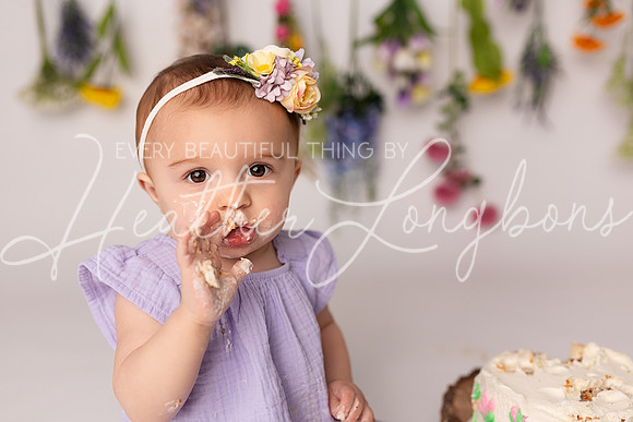 Ember cake smash-15