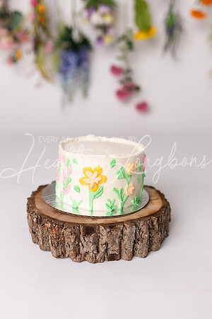 Ember cake smash-16