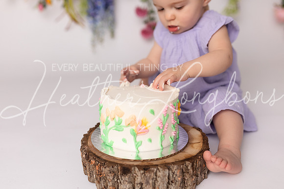 Ember cake smash-18
